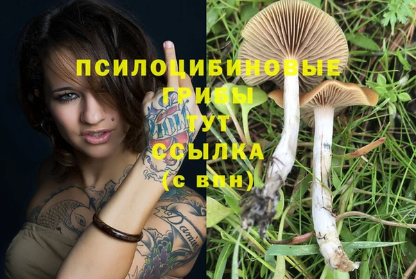 каннабис Козловка