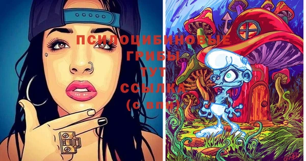 тгк Козельск