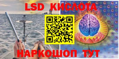 мдпв Кингисепп