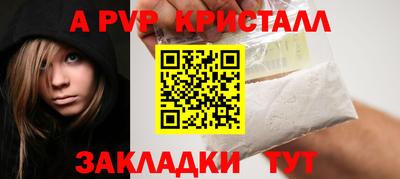 мдпв Кингисепп