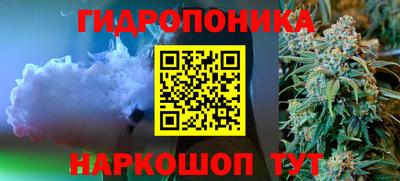 мдпв Кингисепп