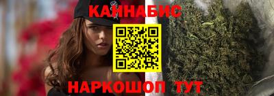 мдпв Кингисепп