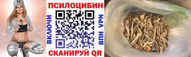 Галлюциногенные грибы прущие грибы Котовск