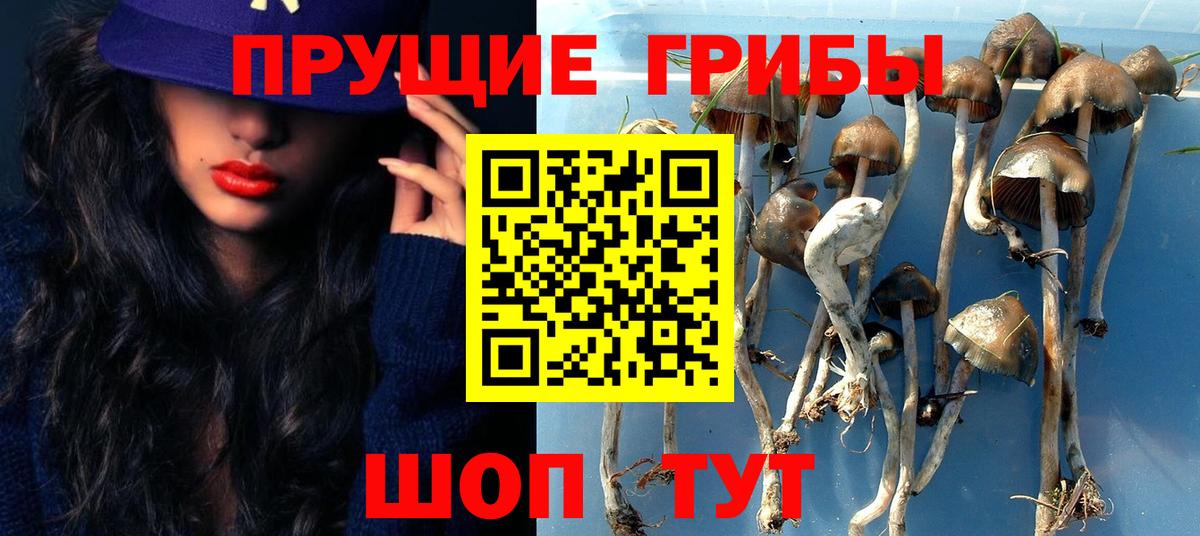 Псилоцибиновые грибы Cubensis  Вход с VPN  Котовск  Галлюциногенные грибы MAGIC MUSHROOMS 